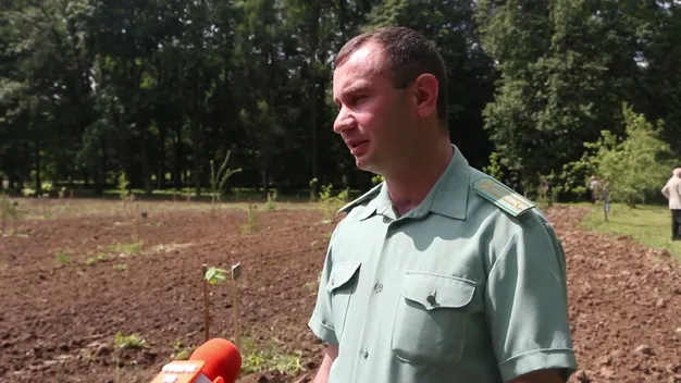 Лісівники Володимирщини створили дендропарк (фото, відео)