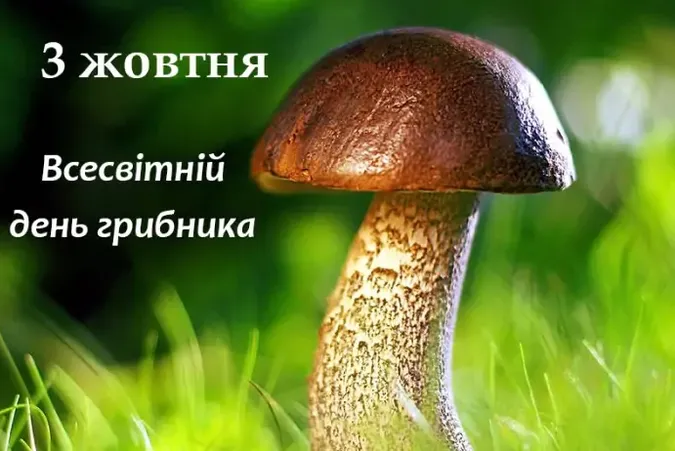 3 жовтня – День грибника: найкращі листівки та теплі привітання