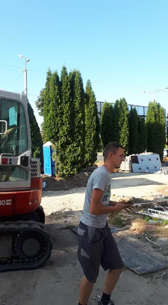 У Луцьку молодик без дозволів вирвав спецтехнікою дерева (фото)