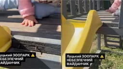 «Цвяхи стирчать з дитячого майданчика»: лучанин скаржиться через небезпеку у зоопарку (фото, відео)