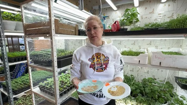Олена Дацюк показує насіння, яке замочила у воді і накрила плівкою для проростання. Суспільне Луцьк