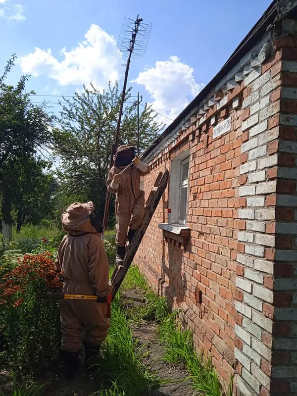 Бомби, шершні та пожежі: звіт волинських рятувальників за добу (фото)