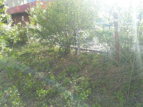 У луцьких дворах знесли страшнющі паркани (фото)