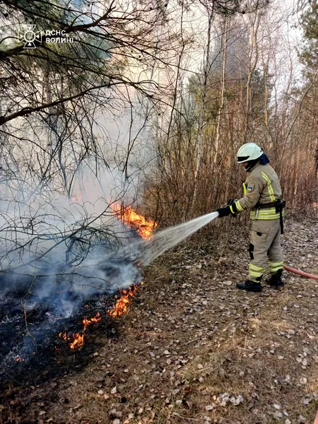 Волинь охопила хвиля пожеж: за добу – 28 загорянь (фото)