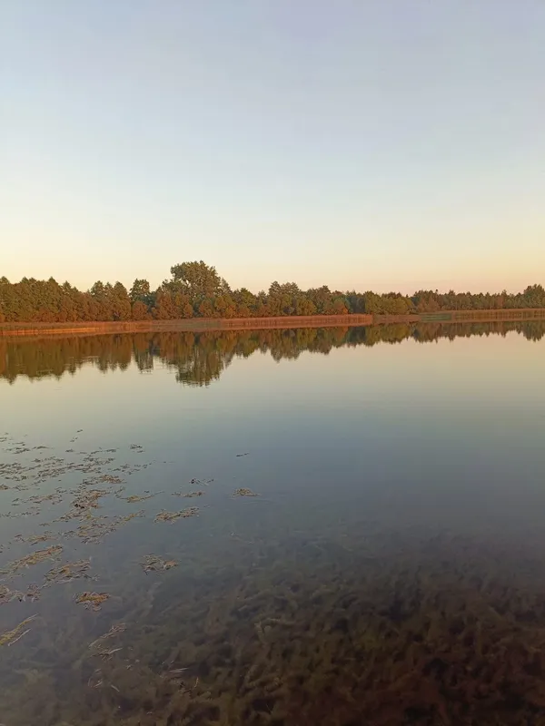 Глибший тільки Світязь: показали осінні краєвиди озера, де є багато риби (фото)