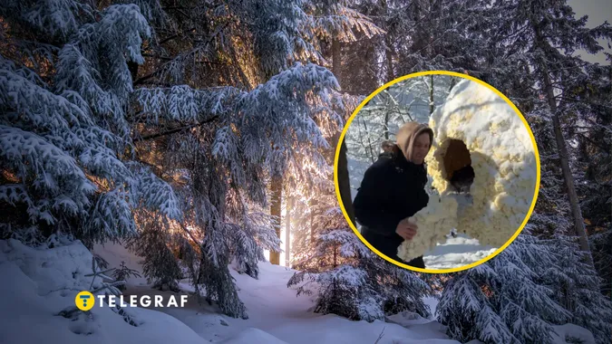 Зимовий ліс, власник зі своїм коконом/Фотоколаж «Телеграф»
