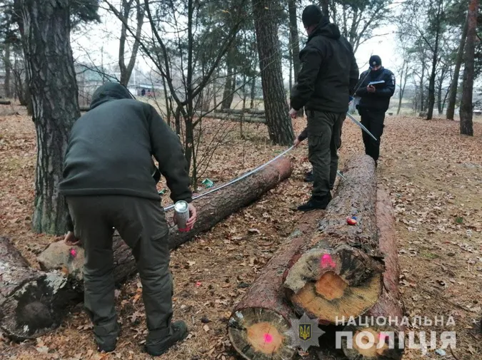 На Ковельщині поліцейські виявили «ліву» деревину (фото)