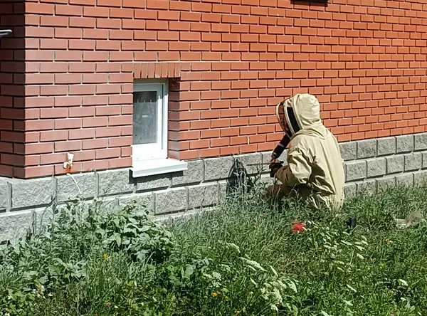 Рятувальники знищили три гнізда шершнів на Волині (фото)