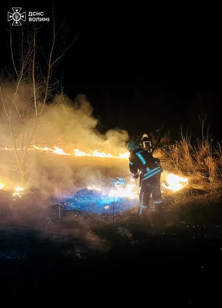 Стовпи вогню – гігантські: Волинь охопили масові пожежі (фото)