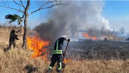 Масові пожежі на Волині: вигоріли понад 20 гектарів землі (фото)