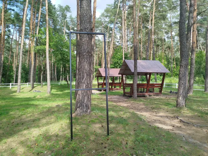 Де неподалік Луцька можна погуляти незайманим столітнім лісом (фото)