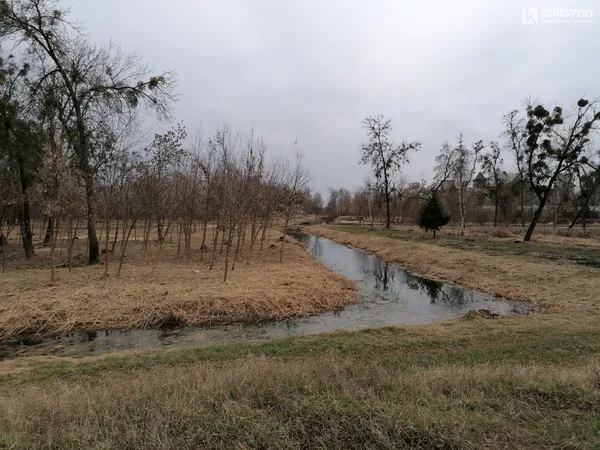 Один день з життя Луцька у фото