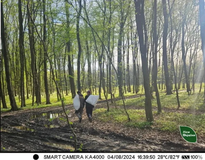 У волинських лісах за допомогою фотопасток ловлять «сміттєвих зозуль» (фото)