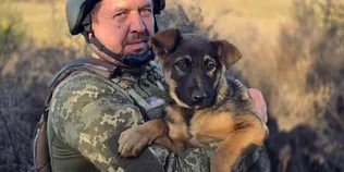 Наймолодший у строю: пес Шустрий живе поруч із волинськими прикордонниками (фото)