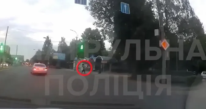 У Луцьку «безсмертний» пішохід «нарвався» на патрульних (відео)