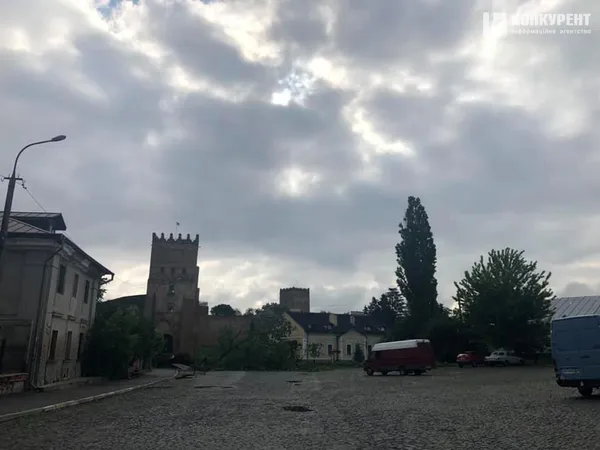 У Луцьку негода знищила Лесин ясен (фото, відео)