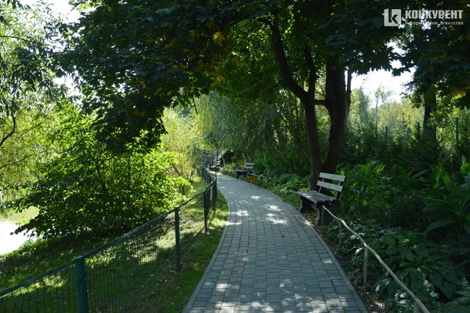Сонні єноти та сумні віслюки: осінь у Луцькому зоопарку (фото)
