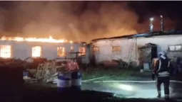 Вогонь охопив корівник і свинарник: на Володимирщині горіла ферма з тваринами (фото)