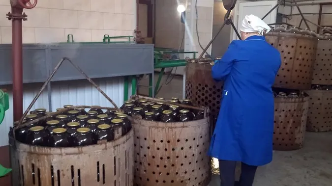 Закривають сезон: як на Волині заготовлюють березовий сік (фото, відео)