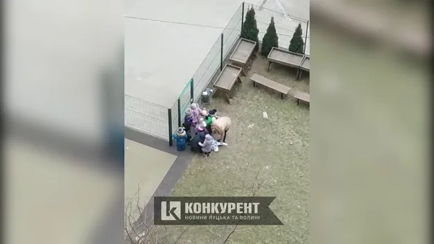 У луцькому дитсадку «петриків п’яточкіних» вивели на прогулянку (смішне відео)