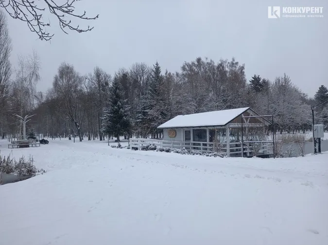 Сніжно і безлюдно: зима у Центральному парку Луцька (фото)