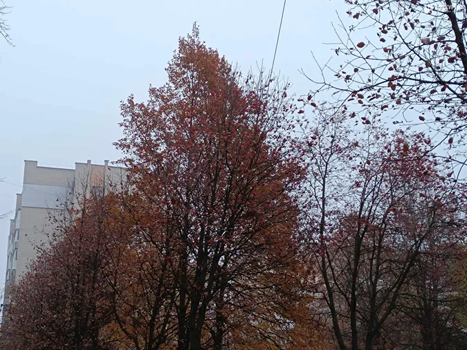 Луцьк знову втонув у тумані (фото)