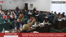 Опалювальний сезон, прибирання кладовищ та питання безпритульних тварин: чергова сесія Луцькради (відео)