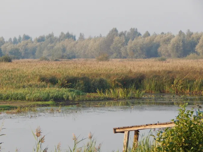 🍂 Мережу зачарували барви осені над Стоходом (фото)
