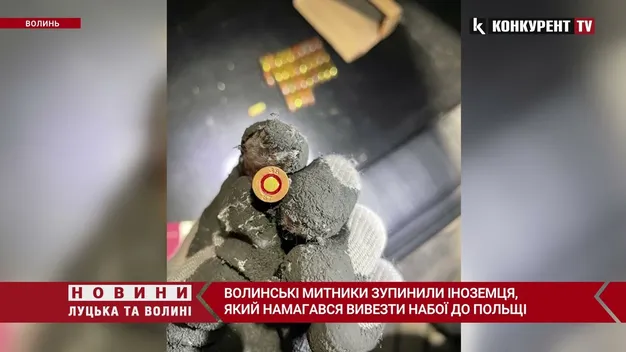 Іноземець хотів вивезти з України набої (фото, відео)