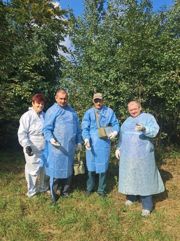 У волинських лісах і полях розклали понад 375 тисяч доз вакцини від сказу (фото)