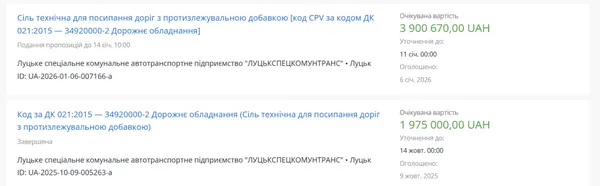 Луцька мерія у розпал негоди купує сіль, щоб посипати дороги