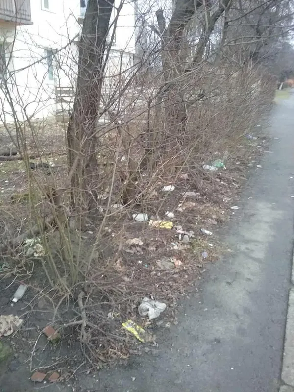 Луцьких підприємців просять прибрати те, що було під снігом (фото)