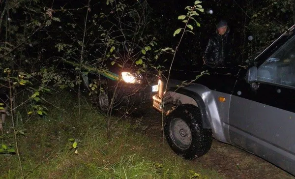 На Волині в заповіднику застрелили двох лосів (фото)