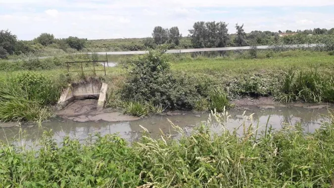 Посадовець Луцькводоканалу уникнув покарання за потруєну рибу на 8 млн грн: як йому вдалося