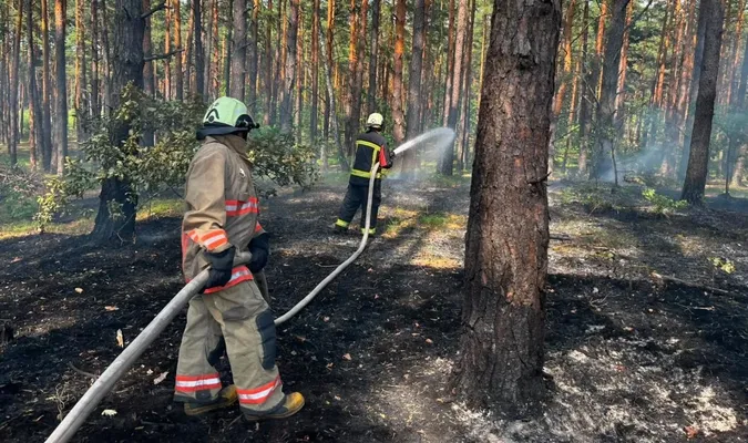 Горіли суха трава, торфовища та лісова підстилка: на Волині за добу ліквідували 9 займань (фото)