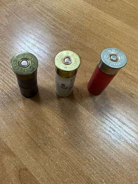 Молода волинянка хотіла вивезти до Польщі набої 12-го калібру (фото, відео)