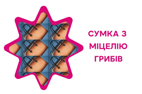Еротичний мацутаке, казанок відьми, міцна веселка: 7 дивовижних фактів про гриби України (фото)