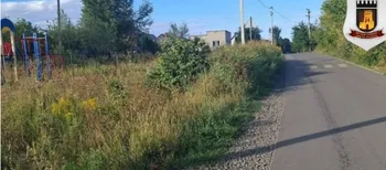 Зелені – по пояс: у Луцьку дитячий майданчик заріс травою (фото)