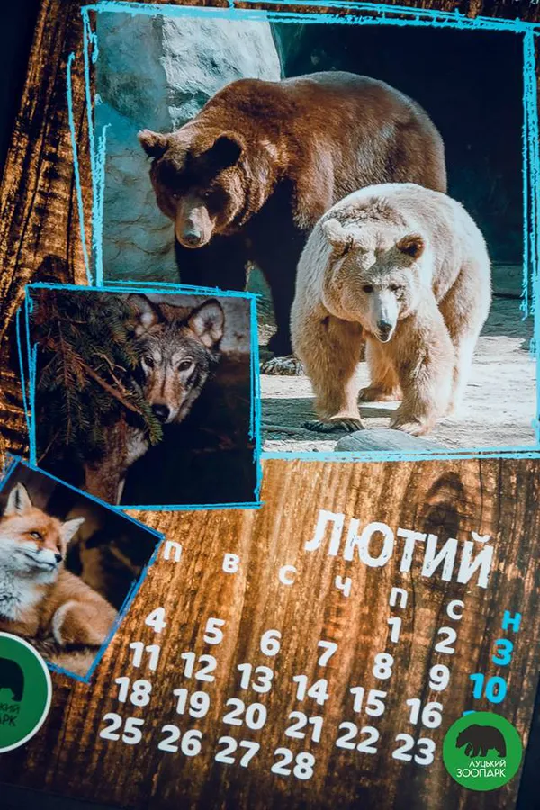 «Луцький зоопарк» видав «мімішний» календар на 2019 рік (фото)