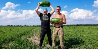 Не гірші за херсонські: на Волині фермер зібрав 120 тонн солодких кавунів з двох гектарів (фото)