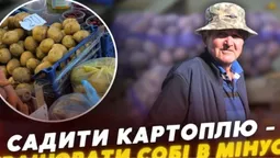 «Вродила половина»: волиняни бідкаються на врожай картоплі та пояснюють, що буде з цінами (відео)