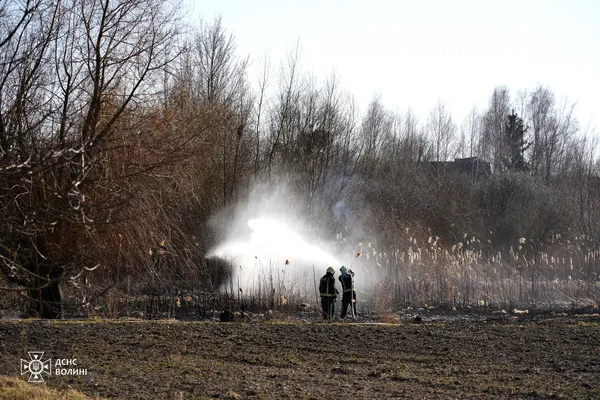 Вогонь дістався житлових будинків: на Волині за добу спалахнуло 13 пожеж (фото)