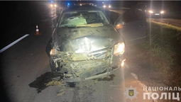 Біля Луцька авто в'їхало в підводу: постраждали троє людей, двоє із них – діти (фото)