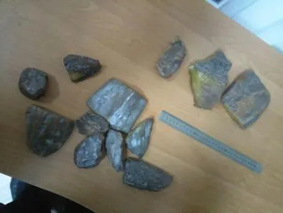 На «Ягодині» в іномарці знайшли бурштин (фото, відео)