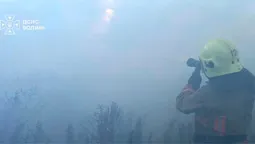 Три пожежі в одному районі: на Волині горіло 2 га чагарників (фото)