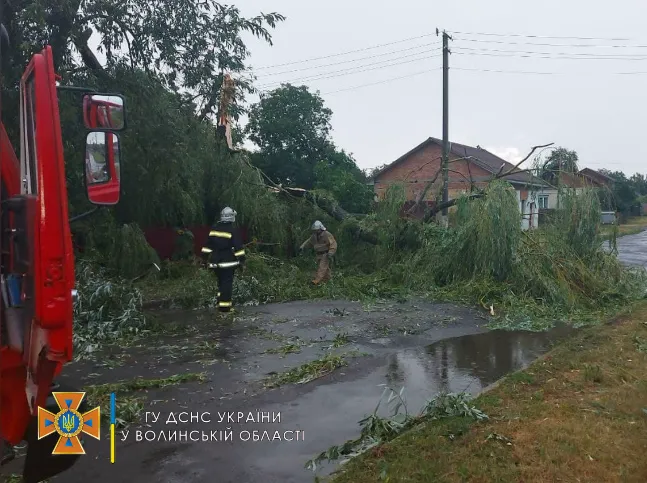 Повалені дерева та спалені будівлі: наслідки нічної грози на Волині (відео)
