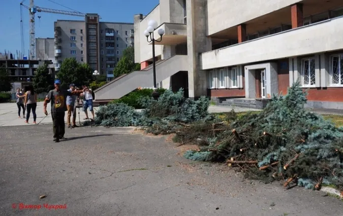 Прокоментували, чому зрізали блакитну ялинку біля РАЦСу