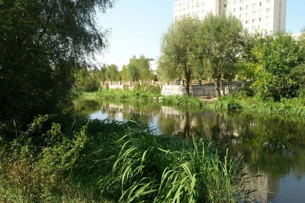 Яким може бути новий парк за 40 млн вздовж Набережної у Луцьку (фото)