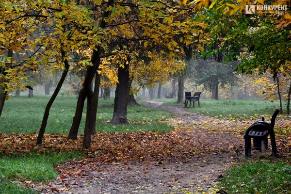Лячно, кольорово, тихо: осінь у парку 900-річчя Луцька (ФОТО)