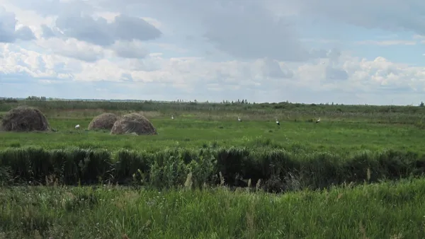 Село на краю світу: де на Поліссі ще можна побачити життя, як 200 років тому (фото)